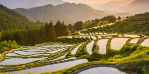 Qué hacer en su tiempo libre en Japón