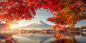 Working Holiday Visa para Japón