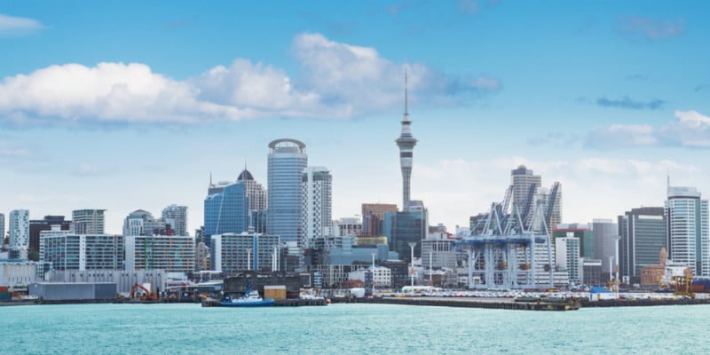 businesses in New Zealand