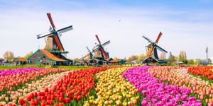 Cose da fare durante la settimana ad Amsterdam