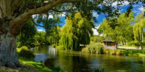 Alojamiento en Christchurch