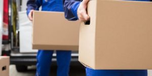 Mudarse a Nueva Zelanda