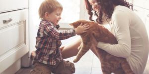 Mudarse a Hong Kong con tu mascota 