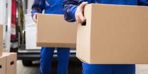 Traslocare in Nuova Zelanda