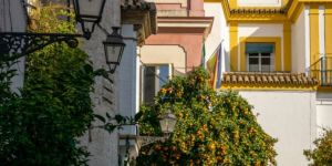 Opzioni di affitto a Siviglia