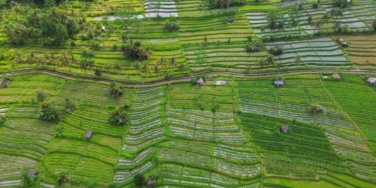 Scoprire l'Indonesia