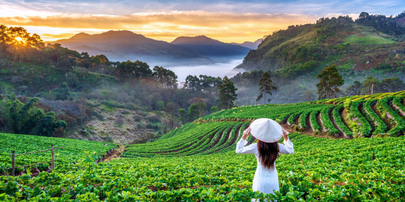Vietnam landscape