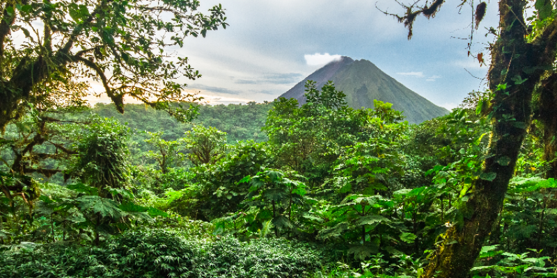 forest landscape in Costa Rica