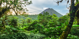 Permanent residency in Costa Rica: how to apply and what to expect