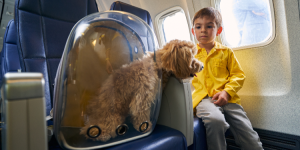 Moving to Colombia with pets