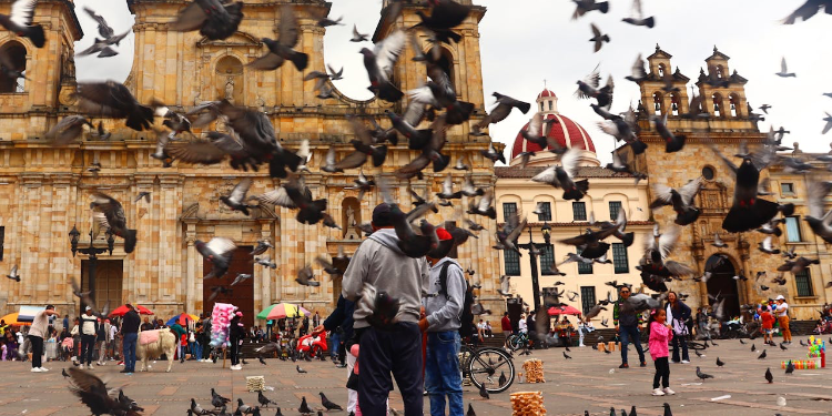 Vivir en Bogotá