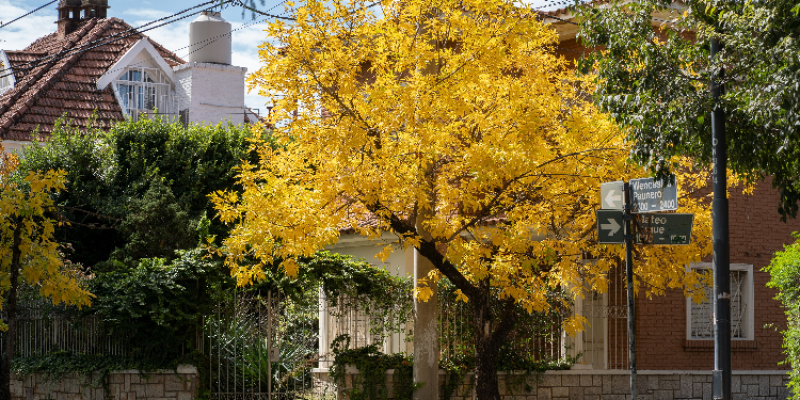 Vivienda en Córdoba