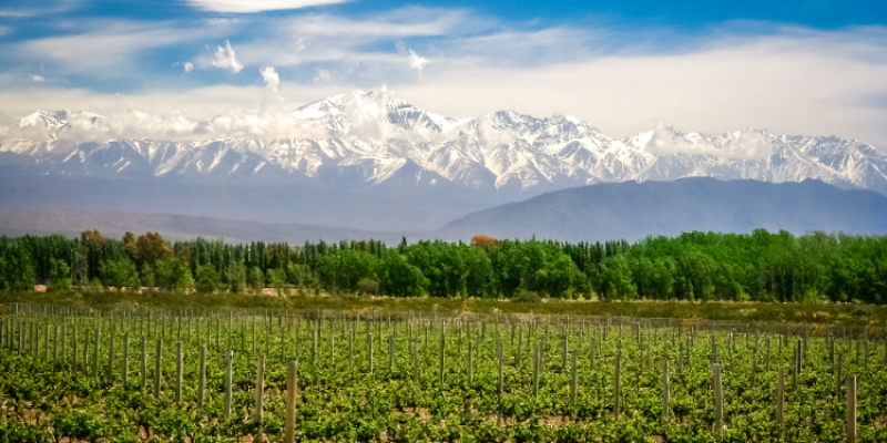 Mendoza