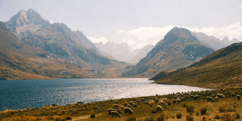 Retiring in Peru