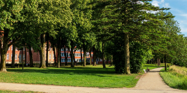 Loisirs à Louvain