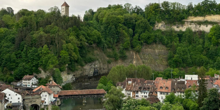Things to see and to do in Fribourg