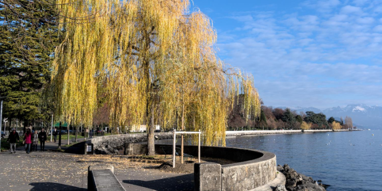 Things to see and do in Lausanne