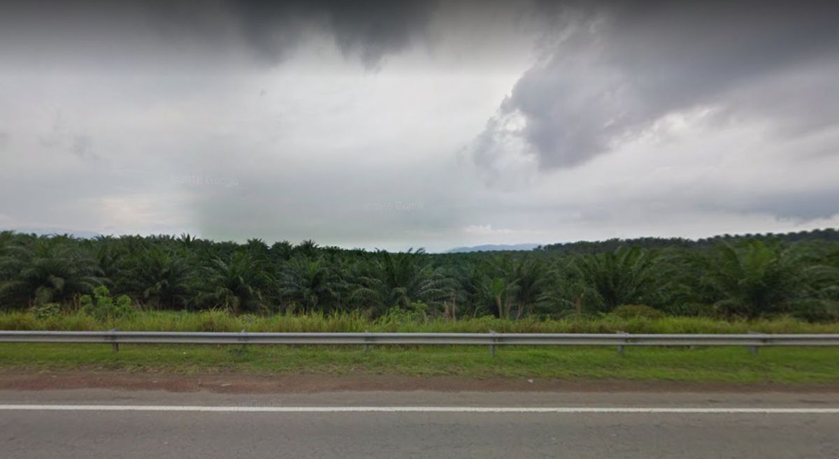 Converted Industrial Land In Kulim Kedah Malaysia For Sale Rent Land For Sale In Malaysia