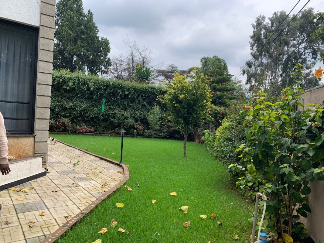 The best house in addis! , House for rent in Addis Ababa Ethiopia