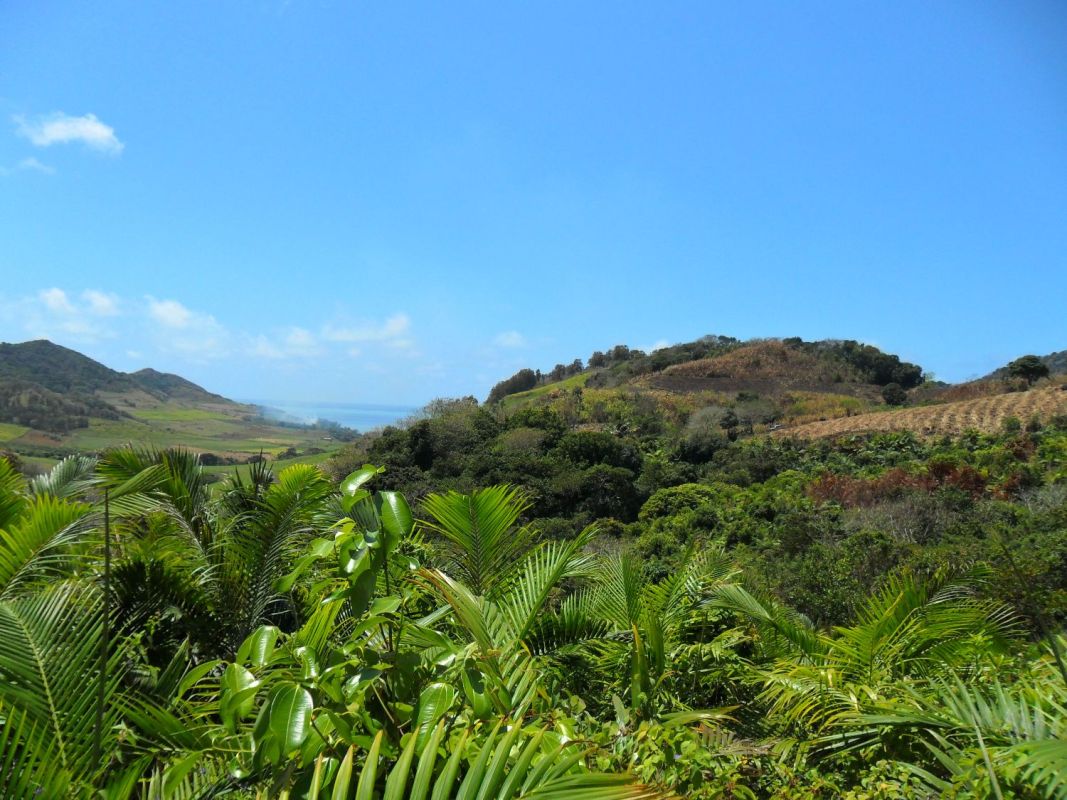 Estate for sale in the south east of mauritius, Land for sale