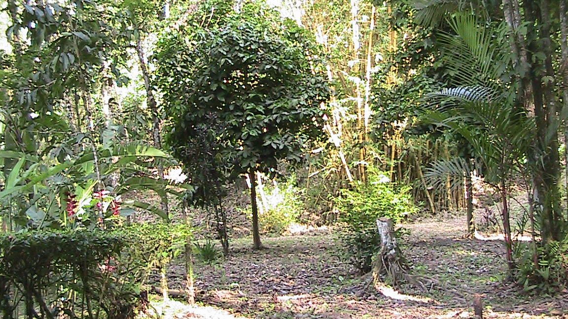 Belle propriété avec vue sur la mer, ferme de 40000 M2 (4ha) b constructible à Punta Uva, Puerto Viejo, Costa Rica