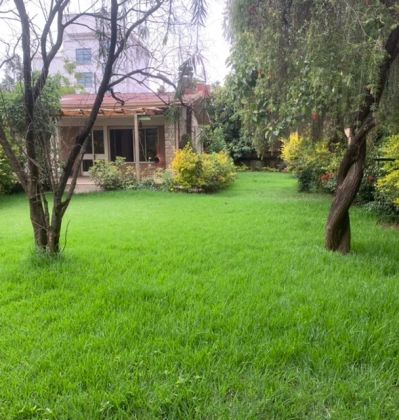 Nice House with Beautiful Garden! 