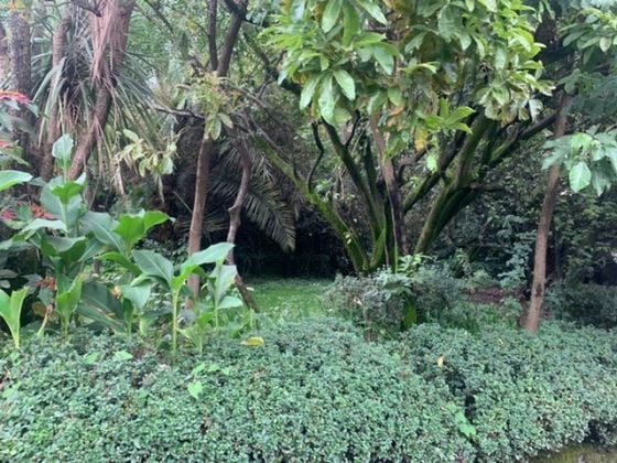 House With A Garden In Kasanchis! 