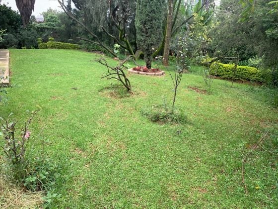 Wooden Made Villa with a Big Garden!!