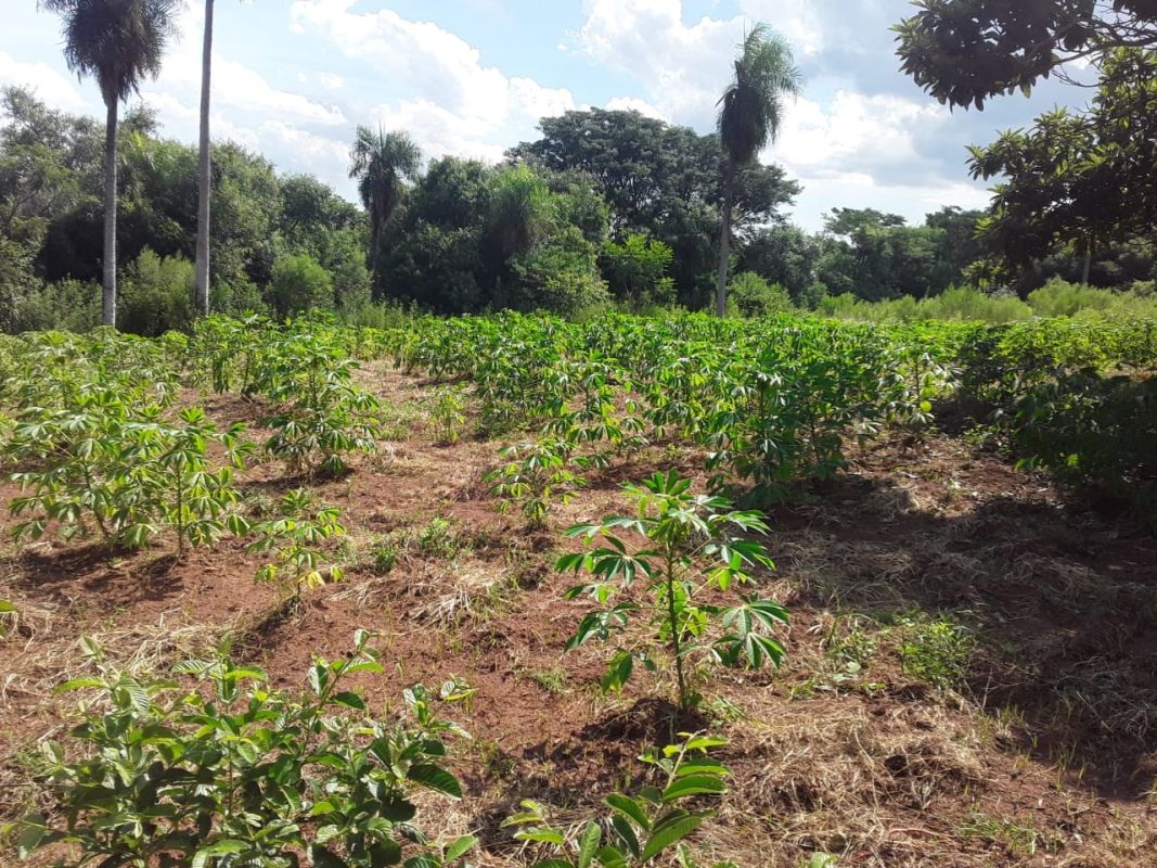 Yaguaron for sale 5 hectares with special housing for farm or