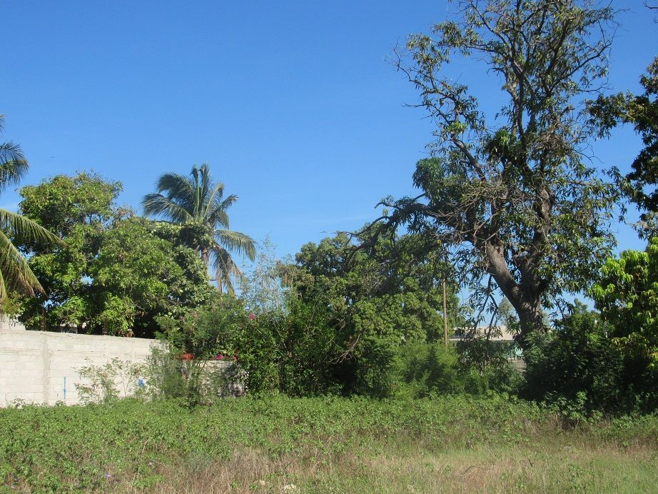 1.78 acres de terrain entièrement clôturé à louer à tabarre, haïti