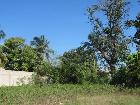 1.78 Acres De Terrain Entièrement Clôturé À ...