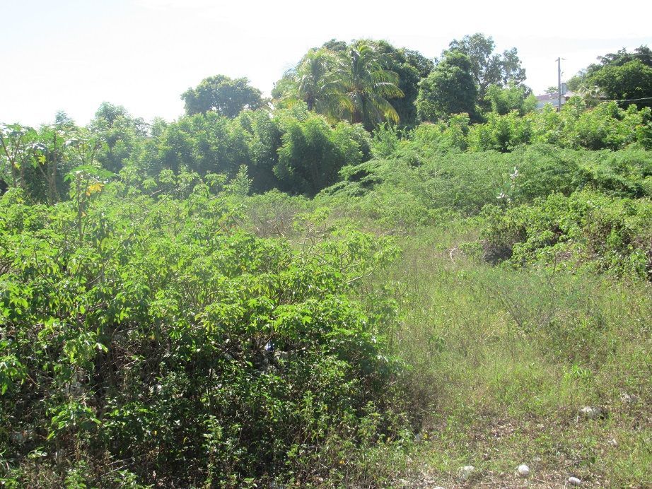 1.78 acres de terrain entièrement clôturé à louer à tabarre, haïti