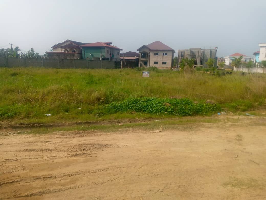 Terrain de 1000m2 en vente à bonaberi douala, Terrain à vendre à Douala