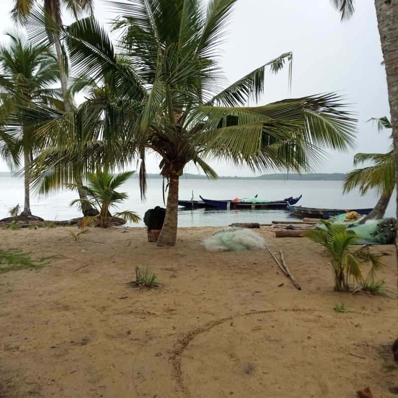 Lots de 1200m² , 5000m² avec acd en bordure lagunaire en vente