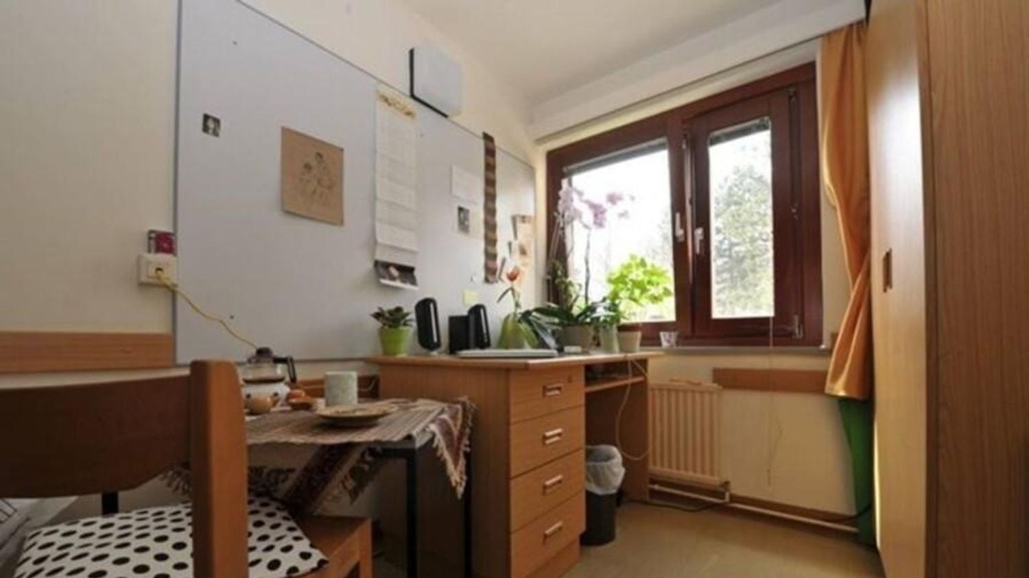 Student accommodation in Vienna