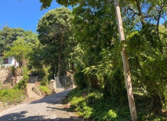 Agriculture, Hotels, Resorts Projects Land For Sale In Band-Du-Nord, ...