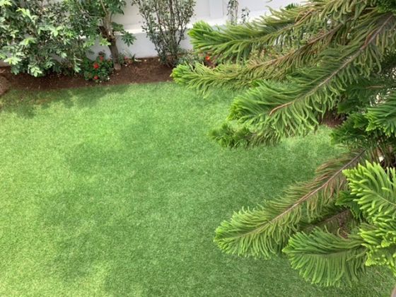 Beautiful Villa For Rent In Bole!