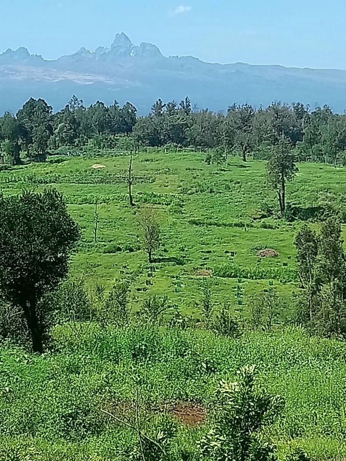 11 acre farm for sale in nanyuki kenya, Land for sale Timau, meru