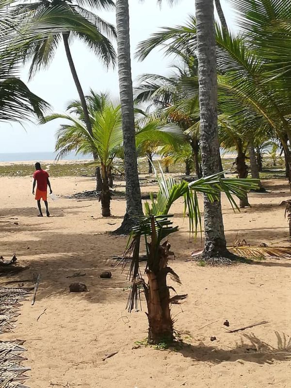 Baie des milliardaires, Terrain à vendre Abidjan, lagunes Côte d'Ivoire