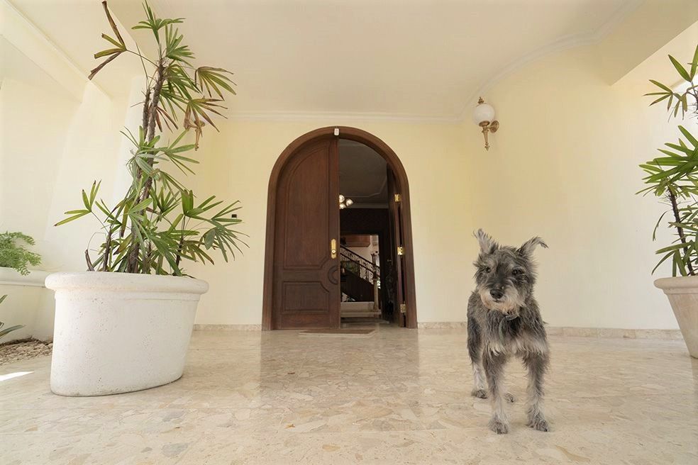 Residence of 3 levels, 6 rooms with 5000m2 of land for sale santo