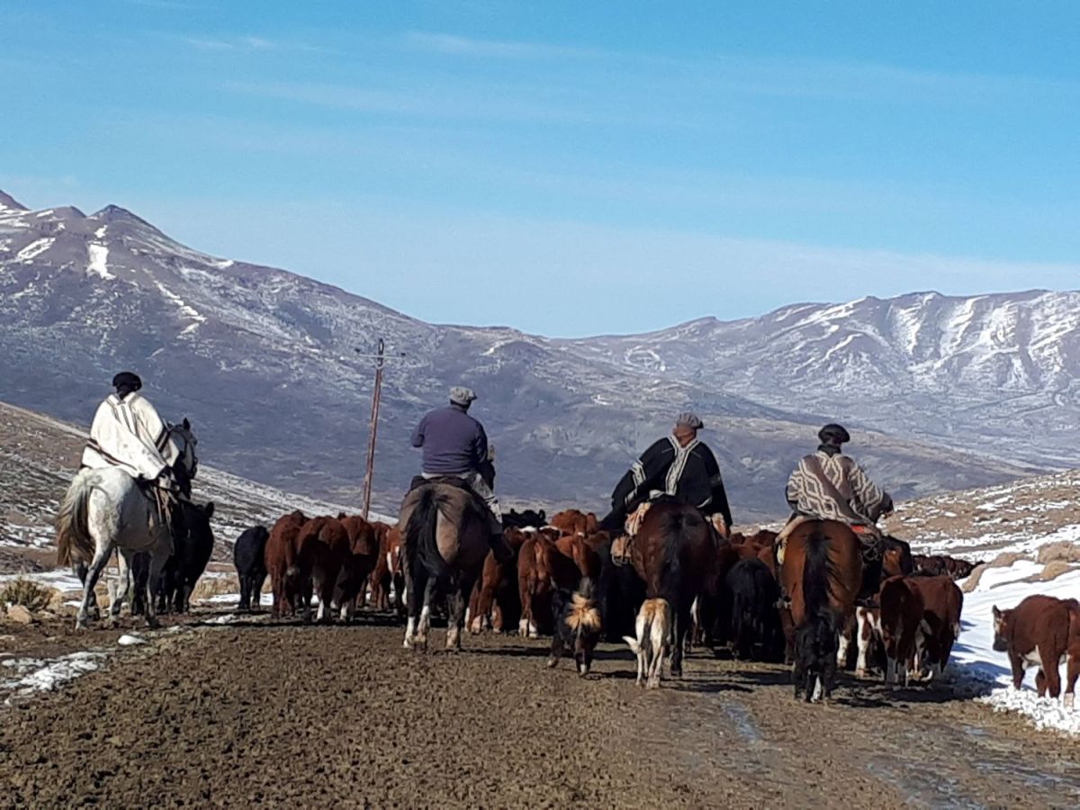 Ex pat community land for sale patagonia, in Neuquén Argentina