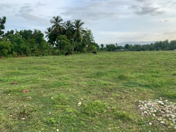 Premium, Flat, Ready To Build Farm Or Project Land For Sale In Torbeck, ...