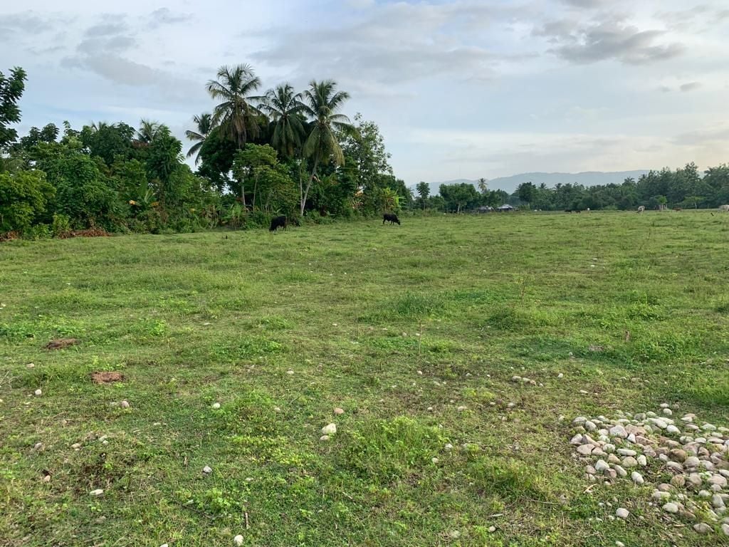 Premium, Flat, Ready To Build Farm Or Project Land For Sale In Torbeck, Les Cayes (Creole: Okay), Haiti – 14,110 Square Meters