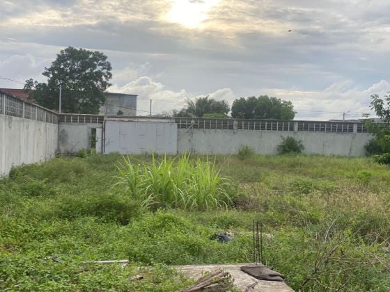 For sale Land 2400 m2 bordering secondary road in Grand bassam Côte ...