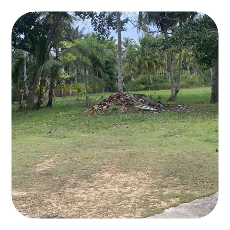 Solar yards beach for villas samana, Land for sale in Las Terrenas Dominican Republic