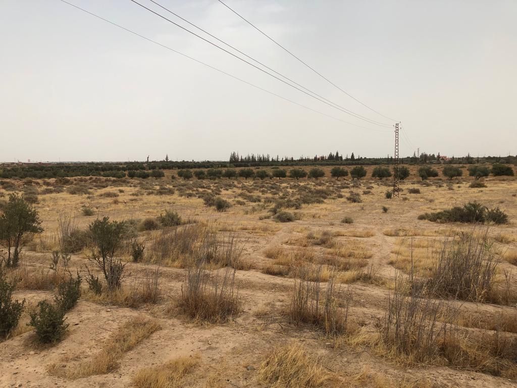 A farm for sale at 25 km from marrakech , Other property for sale In Marrakech Morocco