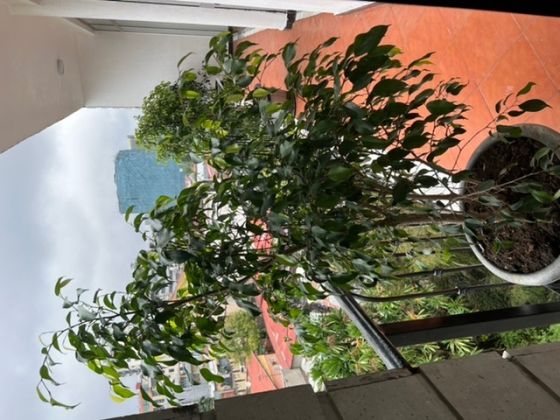 Brand new Fairly priced Apartment! 