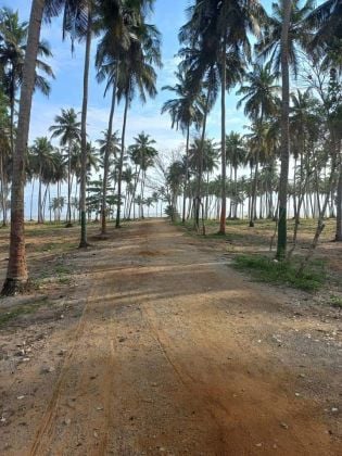 À vendre Terrain 4 ha à Grand bassam côté mer ...