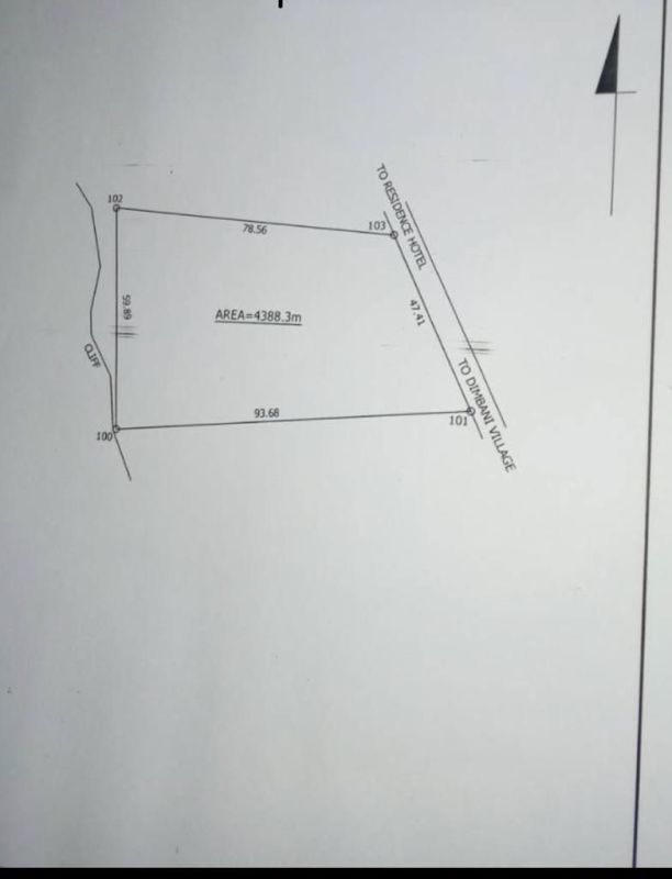 Zanzibar cheap land for sale kizimkazi region 4,388 sqm, Zanzibar