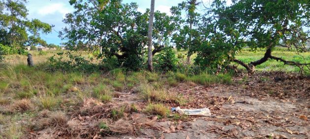 À vendre Terrain 328 m2 avec ACD en bordure de voie à Grand ...